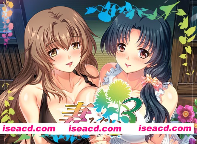 图片[1]-新作[日式ADV/NTR人妻] 妻中蜜３ 妻みぐい3 官中版+全CG存档 [2.20G]-嘤嘤怪之家