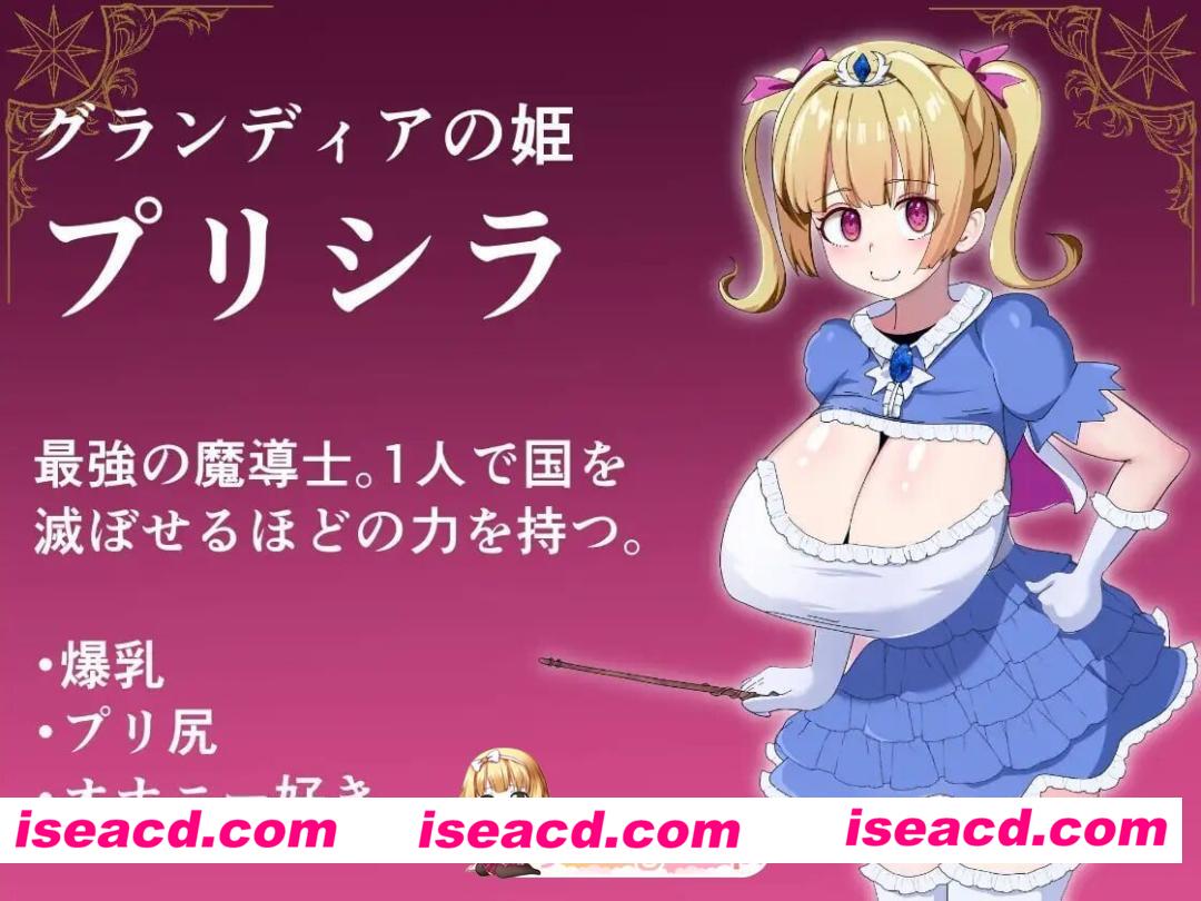 [RPG/2D/日式]魔导姬普莉希拉的愿望 魔導姫プリシラの願望 PC+安卓 AI汉化版[PC+安卓/1.28G] [BD]