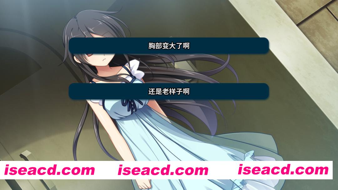 图片[2]-【日系ADV/官中/悬疑/多结局/PC】月影魅像-解放之羽- 月影のシミュラクル -解放の羽- Tsukikage no Simulacre: Kaihou no Hane 官方中文版+全CG存档【1.68G/CV】-嘤嘤怪之家