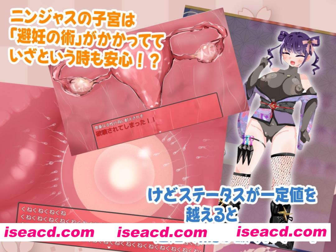 ニンジャは敵軍の赤ちゃんなんか絶対に妊娠しないっ！ [どらどら堂]